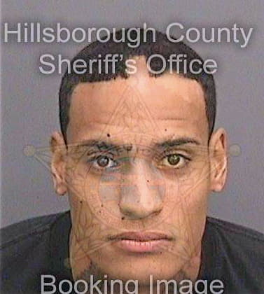 Torresvazquez Arnold - Hillsborough County, FL 