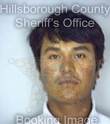 Hernandez Laurentino - Hillsborough County, FL 