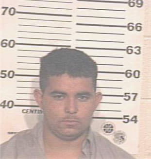 Hernandez Jose - Hidalgo County, TX 