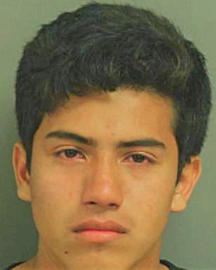 Hernandez Alfonso - Wake County, NC 