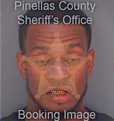 Patterson Anthony - Pinellas County, FL 