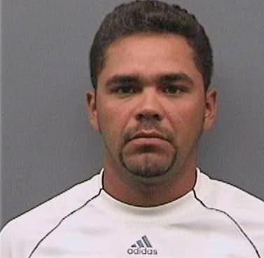 Sosanaga Ulises - Hillsborough County, FL 