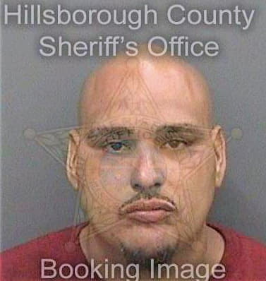 Ginel Antonio - Hillsborough County, FL 