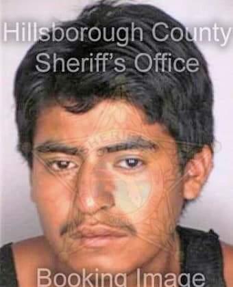 Vasquezsantiago Carmelo - Hillsborough County, FL 