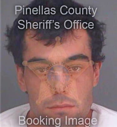 Hambly Andrew - Pinellas County, FL 