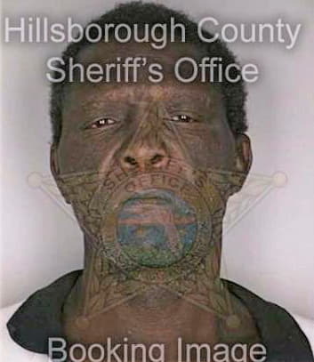 Sims Benjamin - Hillsborough County, FL 