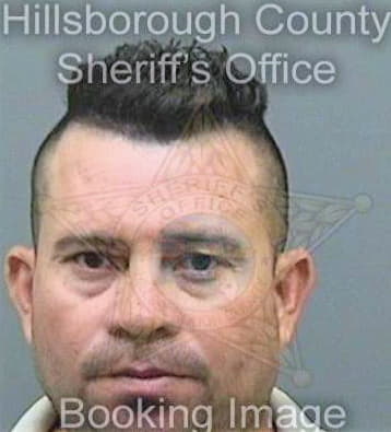 Mejia Carlos - Hillsborough County, FL 