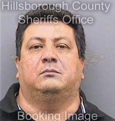 Ponce Mauro - Hillsborough County, FL 