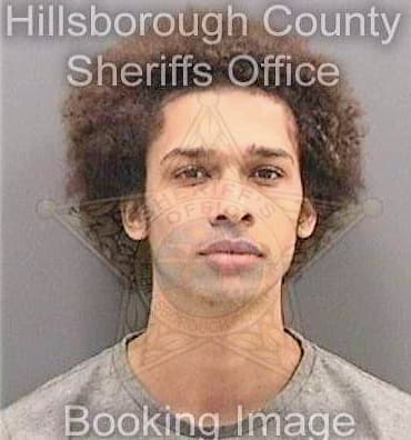 Bouie Alexus - Hillsborough County, FL 