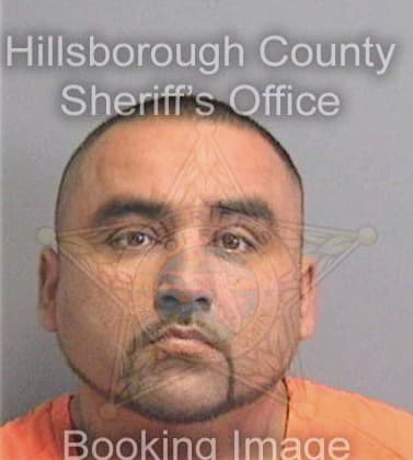 Martinez Miguel - Hillsborough County, FL 