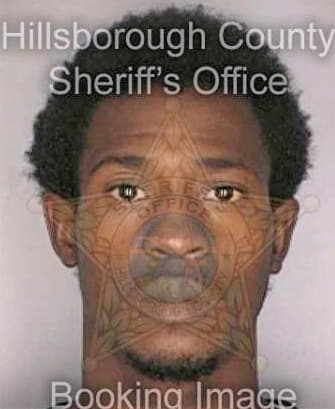 Bostick Vincent - Hillsborough County, FL 