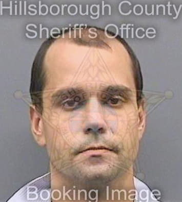 Stonebrook David - Hillsborough County, FL 