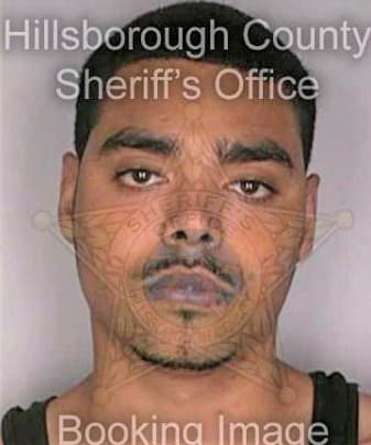 Sierra Benjamin - Hillsborough County, FL 