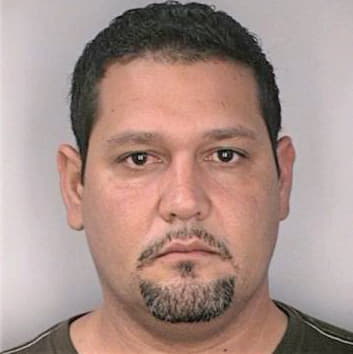 Fernandez Darvin - Hillsborough County, FL 