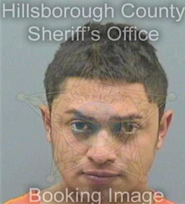 Mezagutierrez Erick - Hillsborough County, FL 