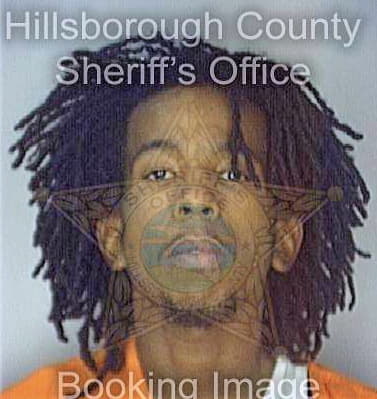 Thompson Gregory - Hillsborough County, FL 