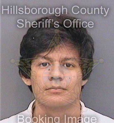 Penarafael Julian - Hillsborough County, FL 