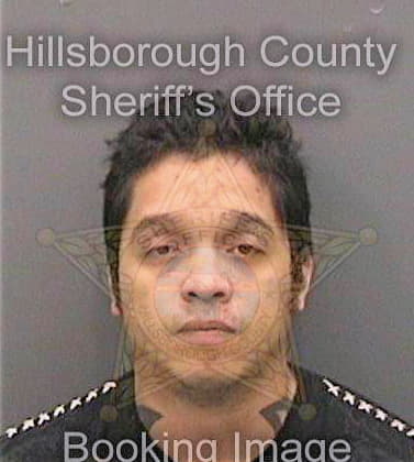 Rangel Carlos - Hillsborough County, FL 