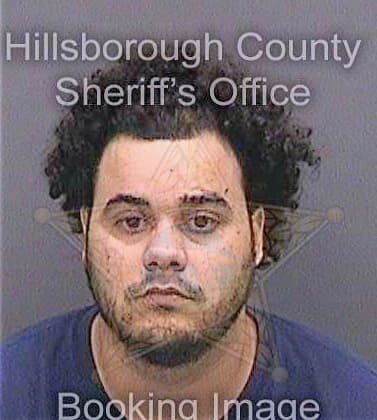 Perez Yoandry - Hillsborough County, FL 