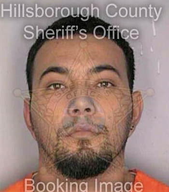 Cortes Jose - Hillsborough County, FL 