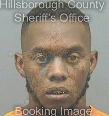 Blaylock Andre - Hillsborough County, FL 