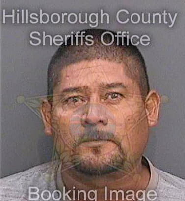 Mejas Maurice - Hillsborough County, FL 