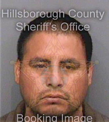 Garcia Carlos - Hillsborough County, FL 