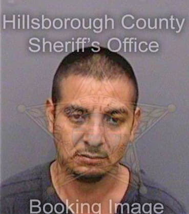 Santiagobautista Jamie - Hillsborough County, FL 