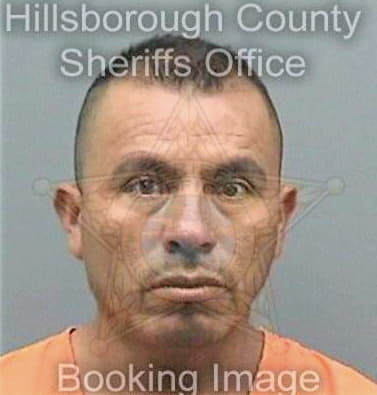 Dominguez Llanos - Hillsborough County, FL 