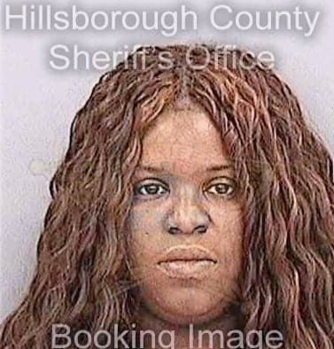Simmons Amida - Hillsborough County, FL 