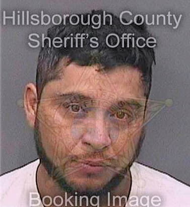 Cortez Toribio - Hillsborough County, FL 