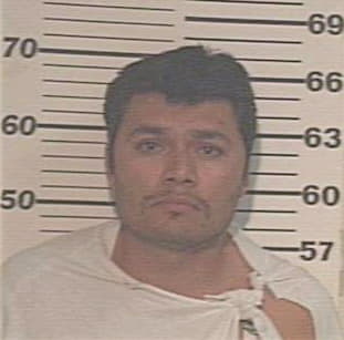 Hernandez Osvaldo - Hidalgo County, TX 