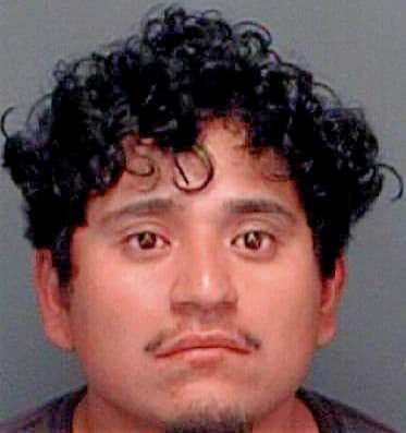 Hernandez Abimael - Pinellas County, FL 