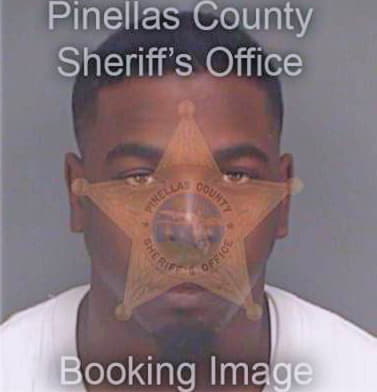 Briscoe Jarrod - Pinellas County, FL 