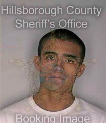 Suarez Fidencio - Hillsborough County, FL 