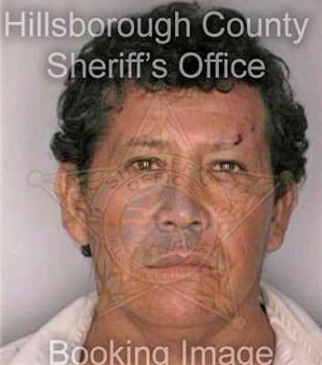 Garcia Gerardo - Hillsborough County, FL 