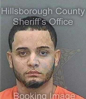 Pereztrinidad Atanael - Hillsborough County, FL 