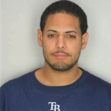 Borrero Pedro - Hillsborough County, FL 