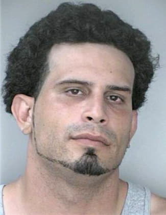 Saldana Manuel - Hillsborough County, FL 