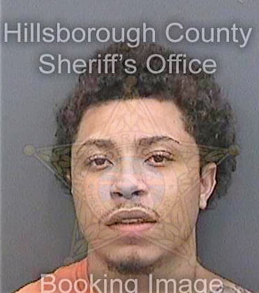 Phillips Michael - Hillsborough County, FL 