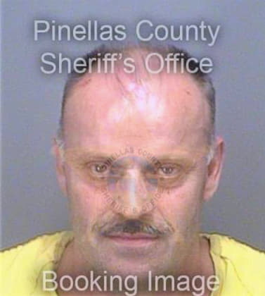 Podzic Rasim - Pinellas County, FL 