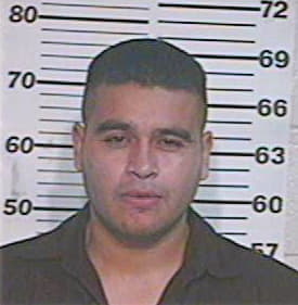 Hernandez Ismael - Hidalgo County, TX 