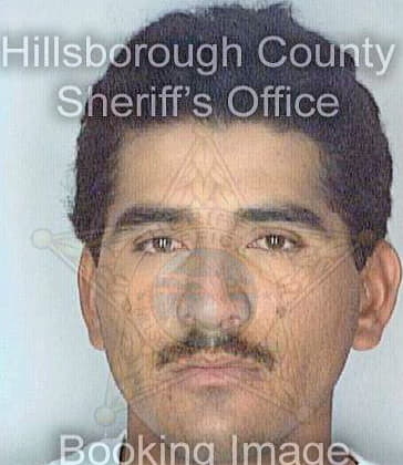 Castillotrejo Juan - Hillsborough County, FL 