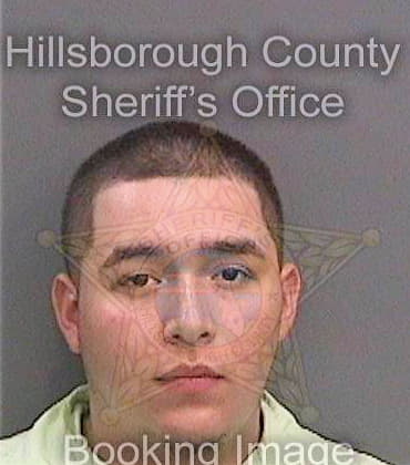 Torres Lazaro - Hillsborough County, FL 