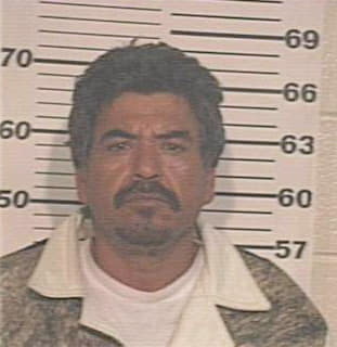 Ramirez Rigoberto - Hidalgo County, TX 