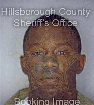 Thornton Jarvis - Hillsborough County, FL 