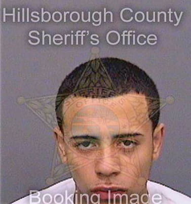 Santos David - Hillsborough County, FL 