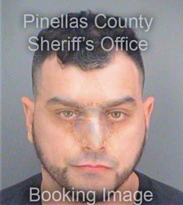 Hernandez John - Pinellas County, FL 