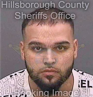 Masoud Farouq - Hillsborough County, FL 