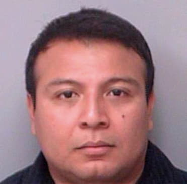 Duran Gerardo - Pinellas County, FL 